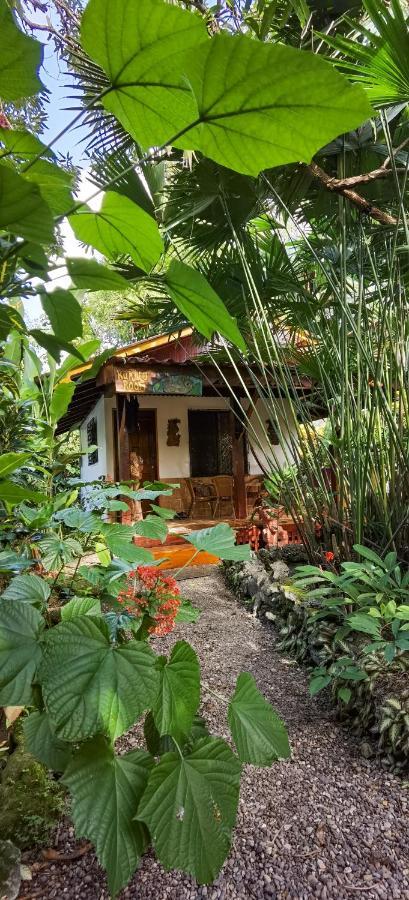Cabinas Tito Cahuita Ngoại thất bức ảnh