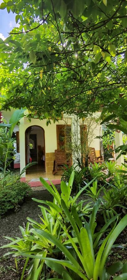 Cabinas Tito Cahuita Ngoại thất bức ảnh
