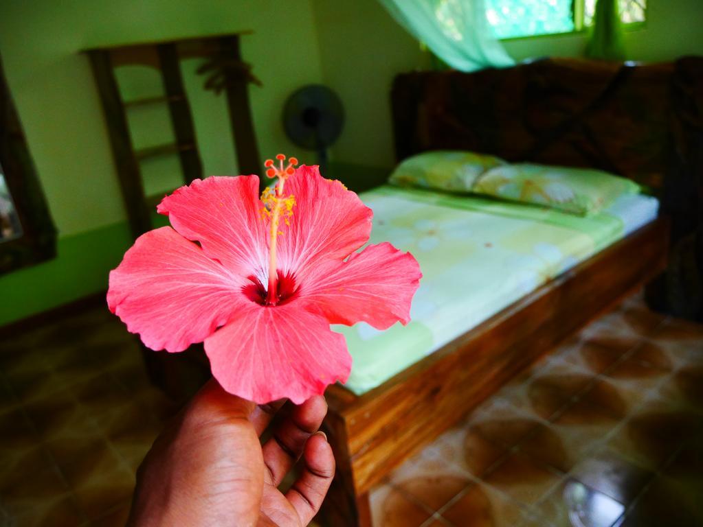 Cabinas Tito Cahuita Ngoại thất bức ảnh