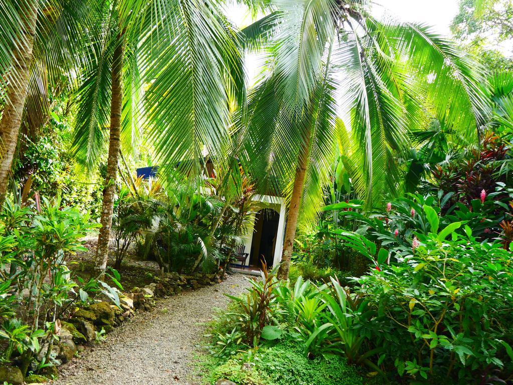 Cabinas Tito Cahuita Phòng bức ảnh