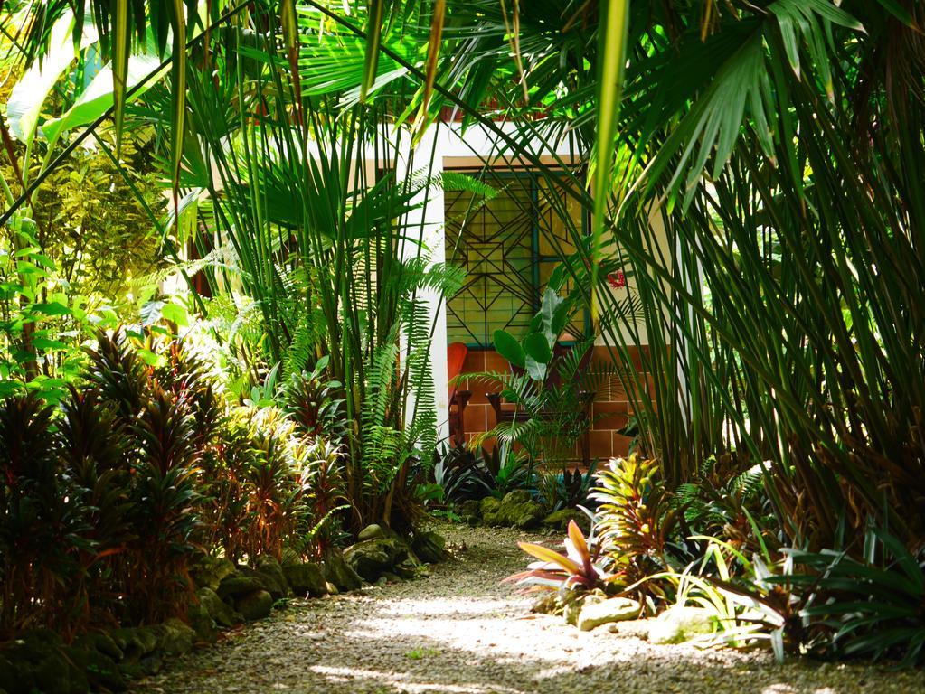 Cabinas Tito Cahuita Ngoại thất bức ảnh
